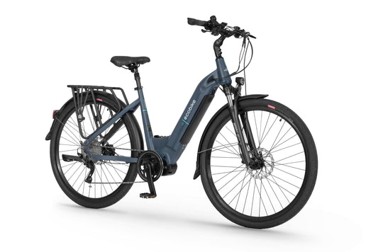 Ecobike D1 Trekking - Mazim e-bikes