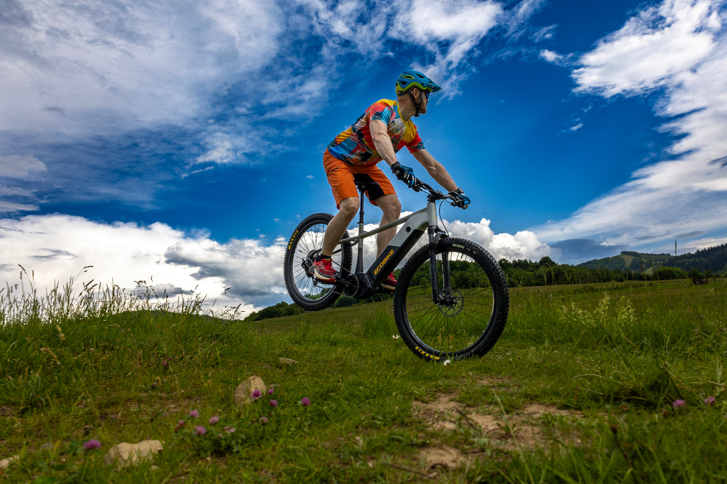 Ecobike Mauler - Mazim e-bikes